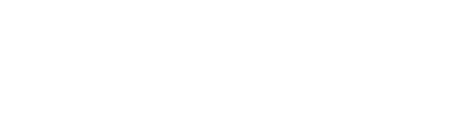 logo white footer